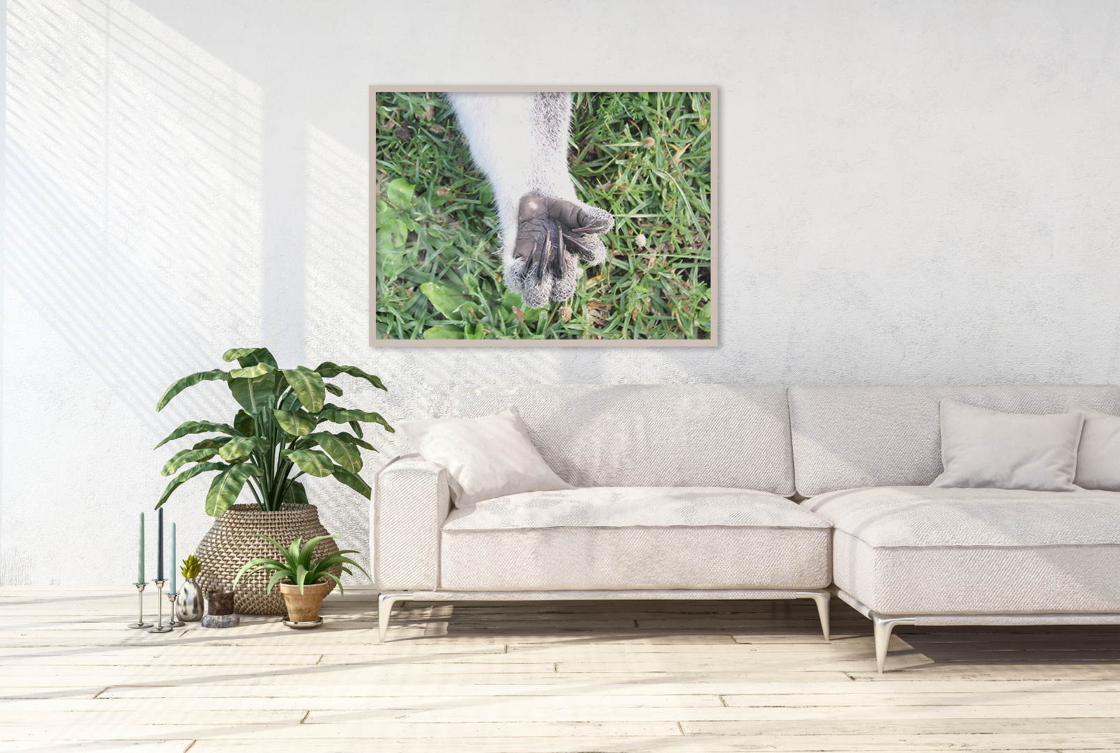 Pre-manicur-oo original abstract contextualised office art modern decor photo print by Blair Montague Drake